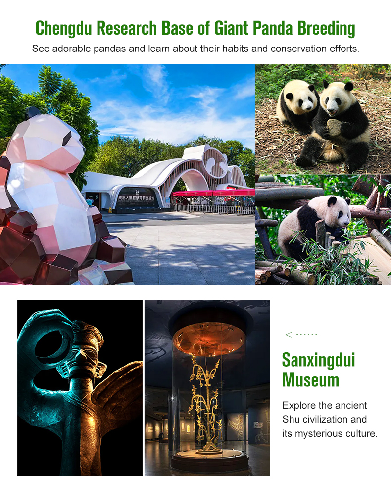 Budgeting Tips for Sichuan Travel: Understanding Charter Service Costs